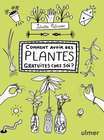 PLANTES GRATUITES-(828773)