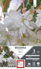 BEGO CASCADE BLANC 5/6 x3-(831507)