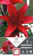 LIS  ASIA RED COUNTY 16/18 x3-(831589)