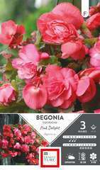 BEGO ODOR PINK DELIGHT 4/5 x3-(831603)