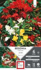 BEGO CASCADE MELANGE 5/6 x6-(831682)
