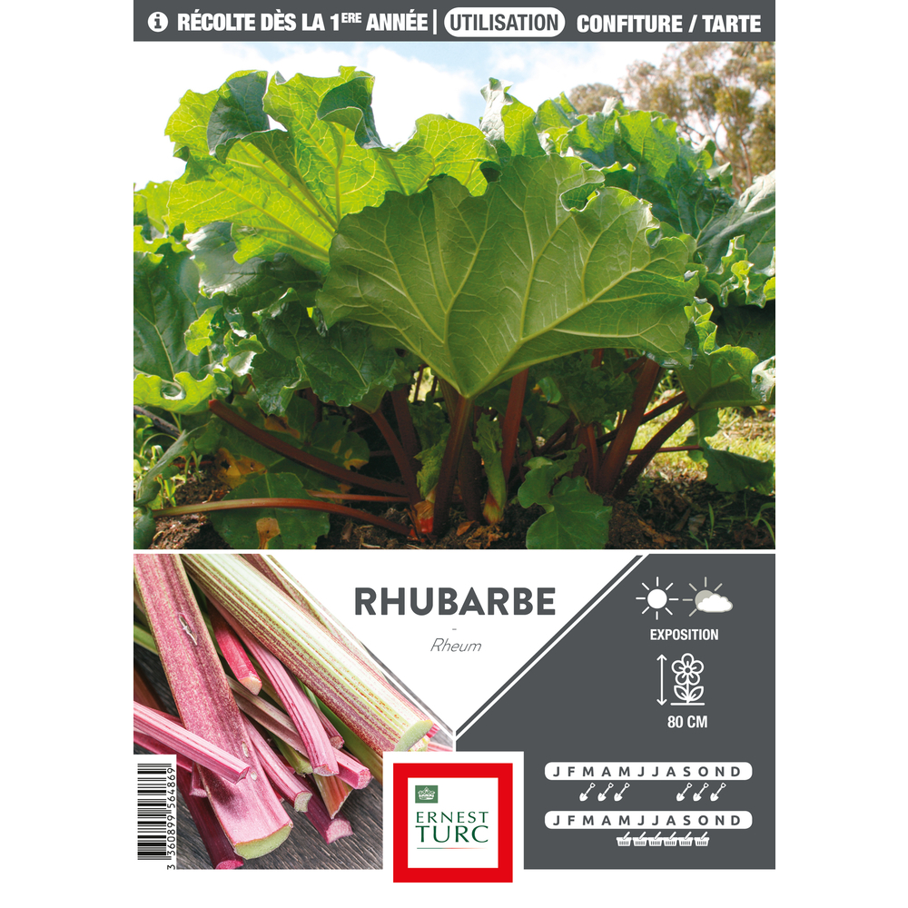 VRAC RHUB VICTORIA SOUCHE x5-(831696)