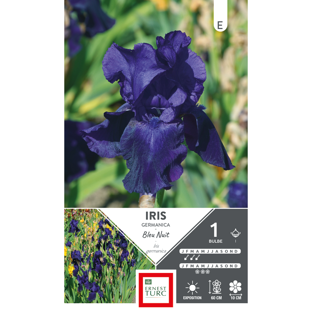 SIRIS GERM BLEU NUIT I X1-(832049)