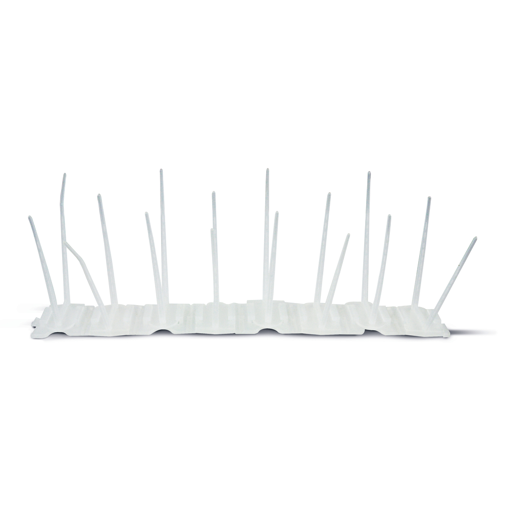 PICOT PIGEON PVC-(832651)