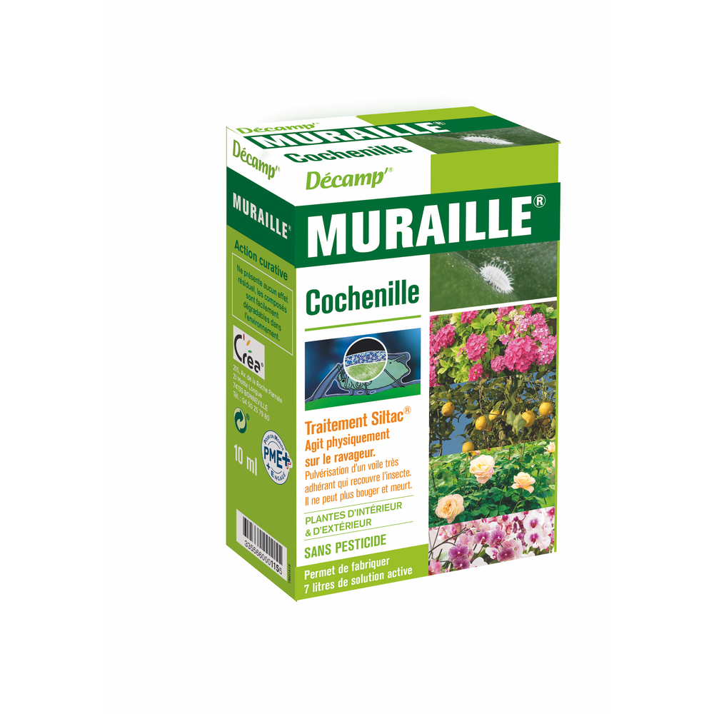 MURAILLE COCHENILLES SILTAC-(832660)