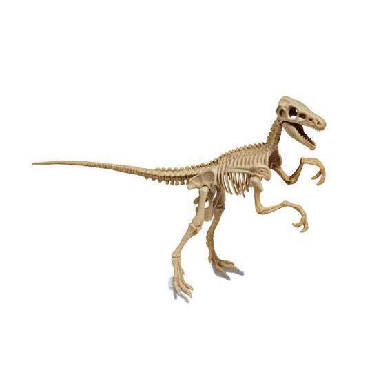 ARCHEO LUDIC VELOCITERAPTOR-(832749)