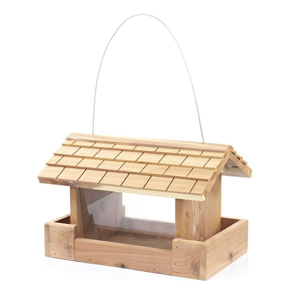 MANG. PARADIS SUR TERRE-(834243)