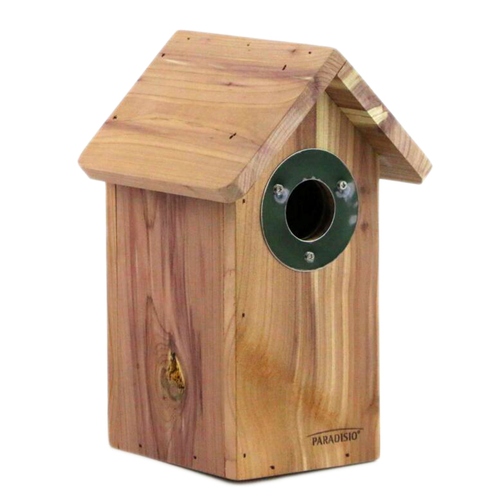 NICHOIR ALEXANDRINE 30MM-(834246)