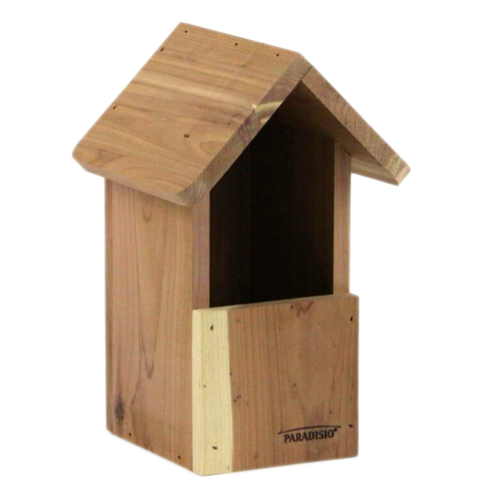 NICH NERINE RGE GORGE-(834247)