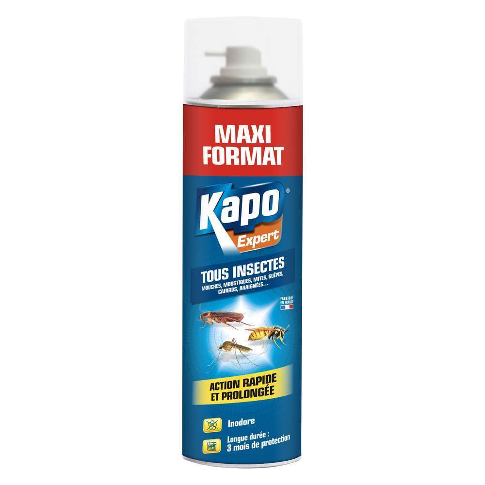 Aérosol tous insectes, au pyrèthre végétal - 600ml