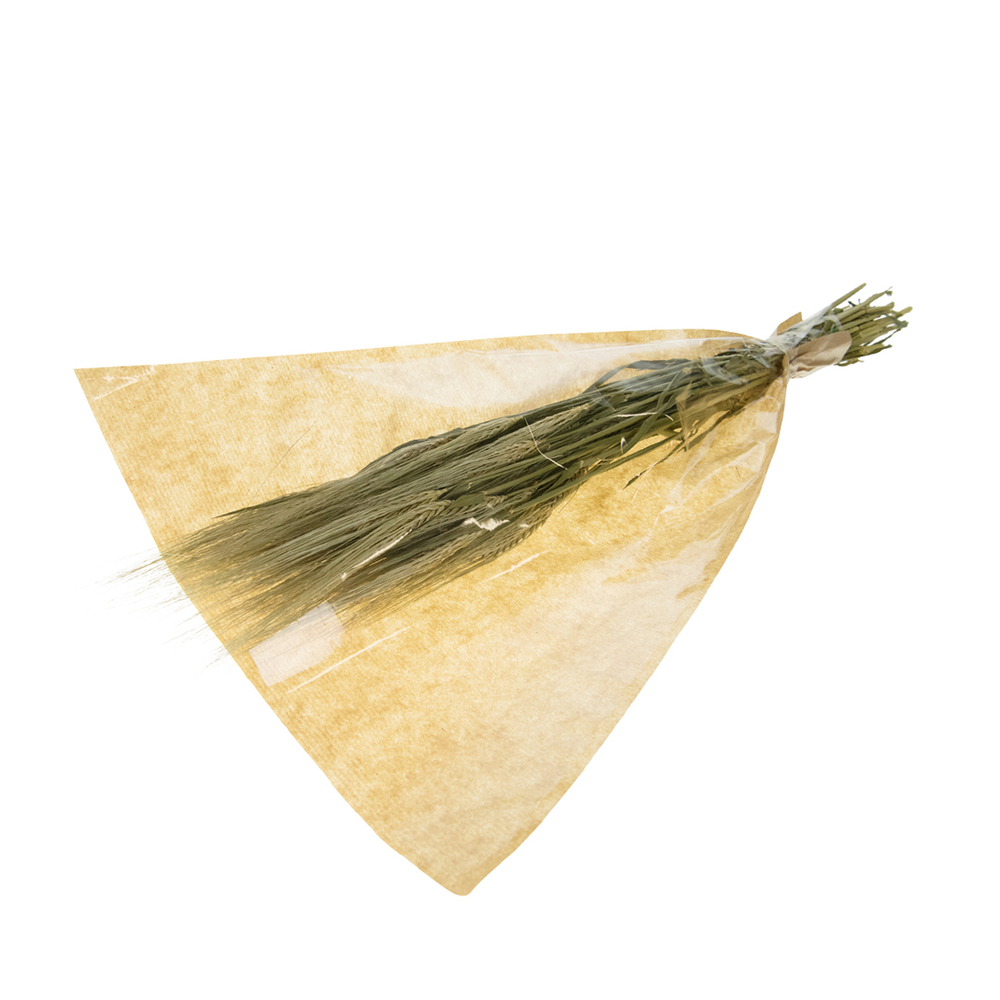 BOUQUET HORDEUM-(837642)