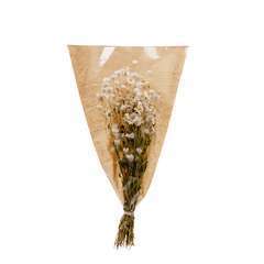 Bouquet fleurs séchées Rodanthe Blanc