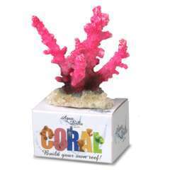 CORAL  STAGHORN S ROSE-(839337)