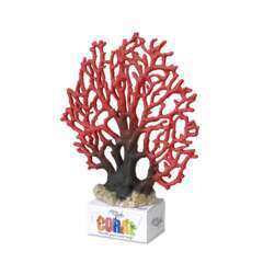 CORAL LACE CORAL XL-(839346)
