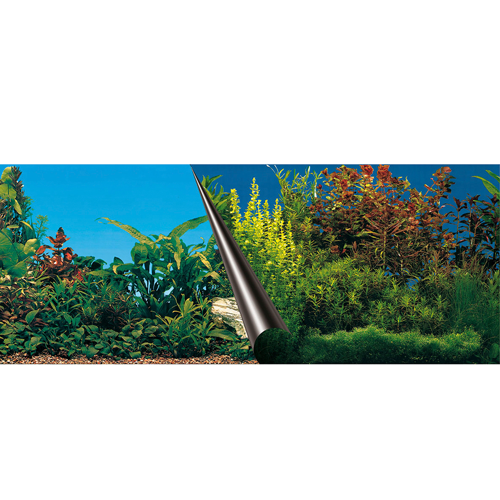 POSTER FOND AQUA 60X30CM-(839356)