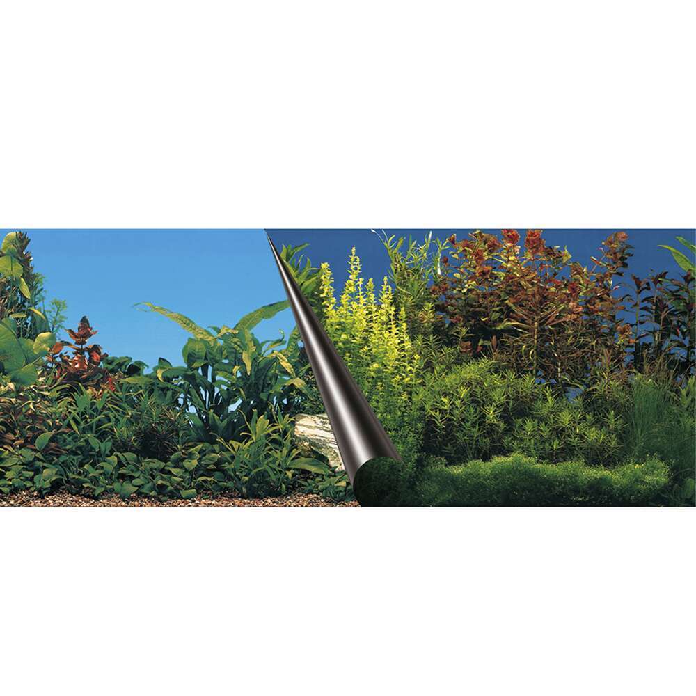 POSTER FOND AQUA 120X50CM-(839358)