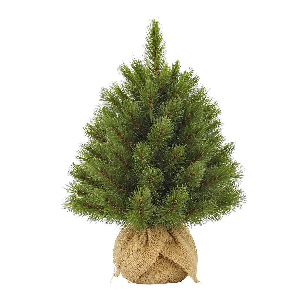 SAPIN FOREST FROSTED H45XD36-(840517)