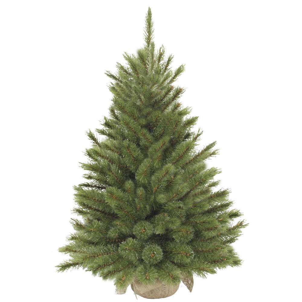SAPIN FOREST FROSTED H90XD62-(840519)