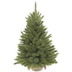 SAPIN FOREST FROSTED H90XD62-(840519)