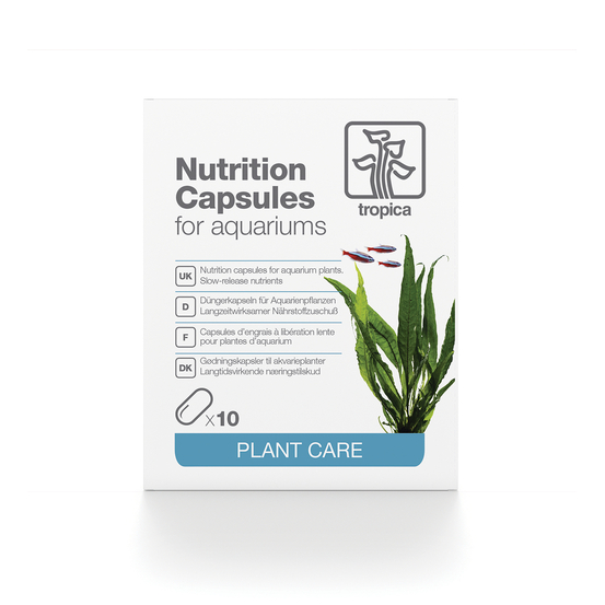 NUTRITION CAPSULES 10PCS-(841574)