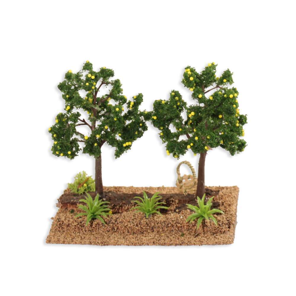 VERGER A/AGRUMES 14X9X14-(841753)