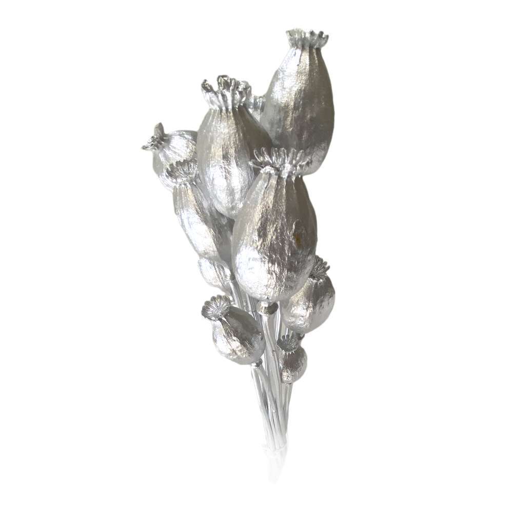 

Botte de fleurs sÃ©chÃ©es blanches