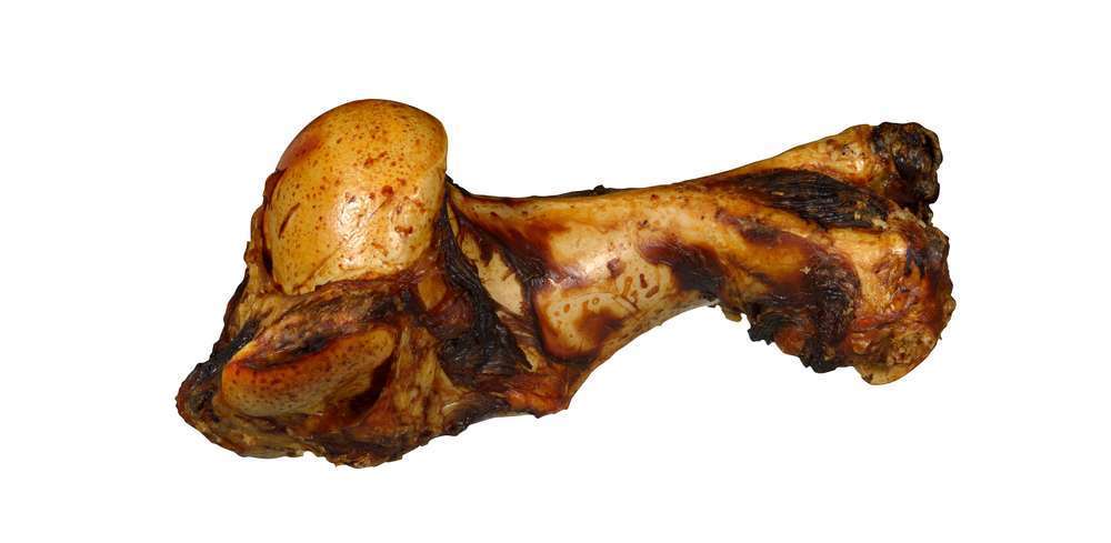 OS DE MAMMOUTH-(848159)