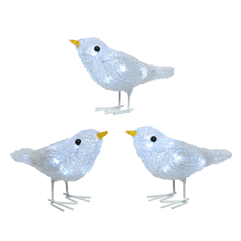 3 OISEAUX ACR 16X6X12 S/P BLF-(848555)