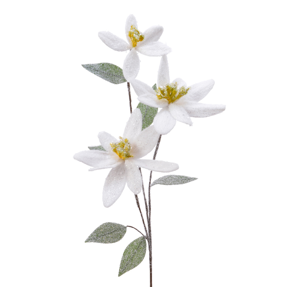 BRANCH EDELWEIS 60CM-(848752)