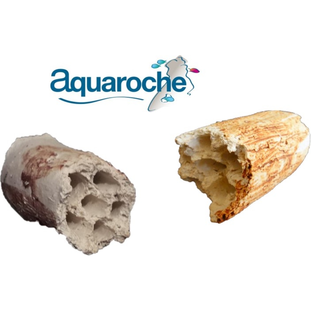 REFUGE MULTITUBE CREVETTE-(850778)