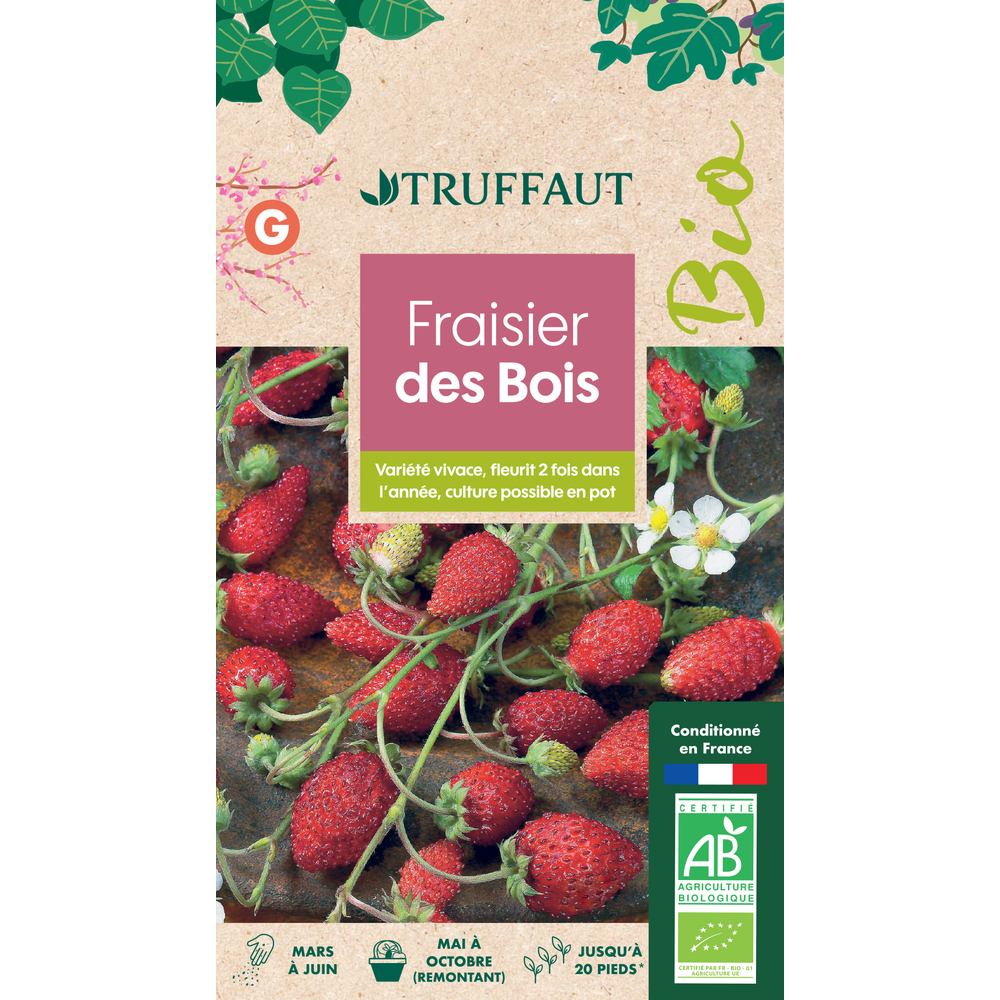 FRAISIER DES BOIS BIO TRUF-(858957)