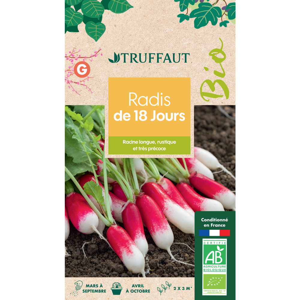 RADIS 18 JOURS BIO TRUF-(858961)