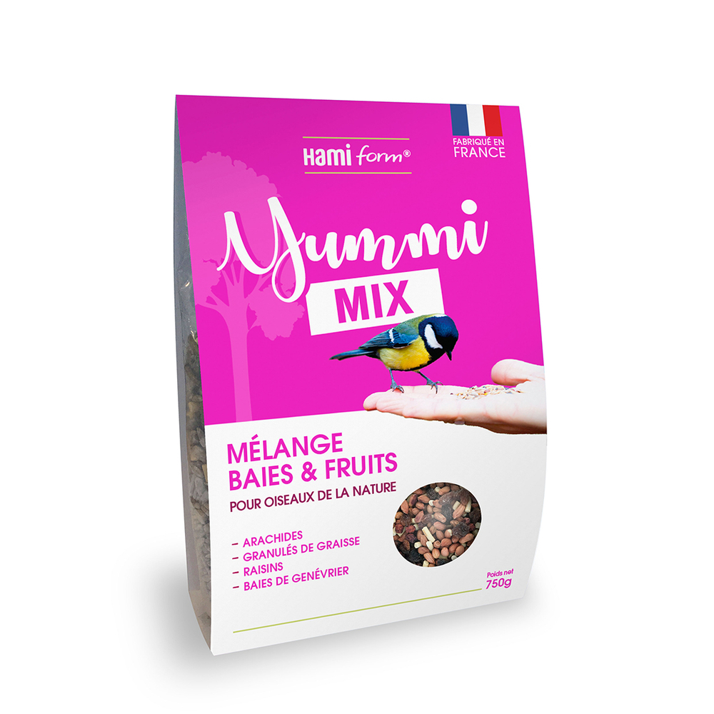 Mélange baies et fruits pour oiseaux de la nature 750g