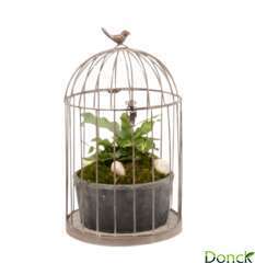 Cage volière, 3 plantes D18xH35