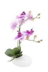 Orchidée bicolore artificielle toucher réel coupe céramique 36cm