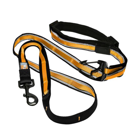 Laisse Main libre Quantum Orange pour chien