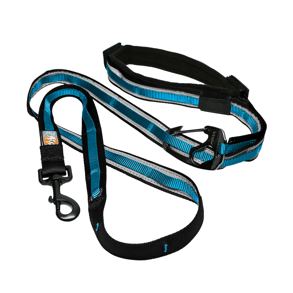 Laisse Main libre Quantum Noir/Bleu pour chien
