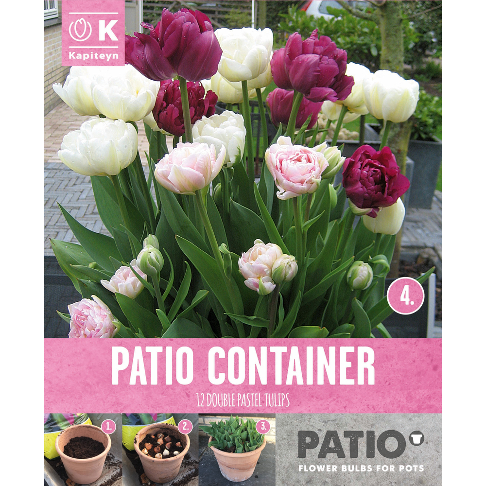 TUL DBL PUR PINK WHITE X12-(873509)