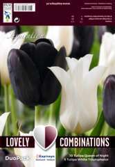 Bulbes de tulipes doubles noires et blanches - x15