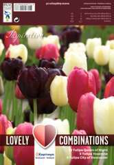 Bulbes de tulipes combi - x20