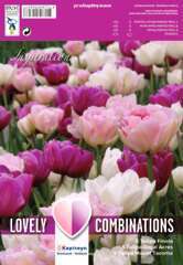 Bulbes de tulipes doubles rose, pourpres et blancs - x15