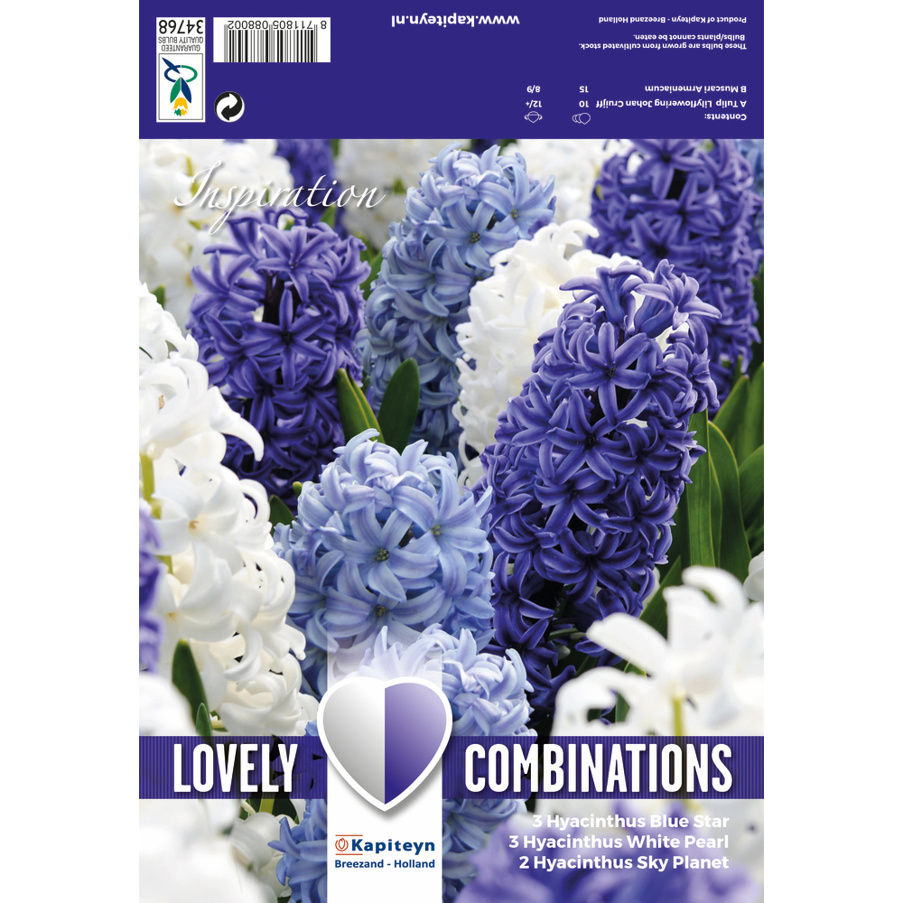 COMBI JACI OCEAN BLEND X8-(873577)