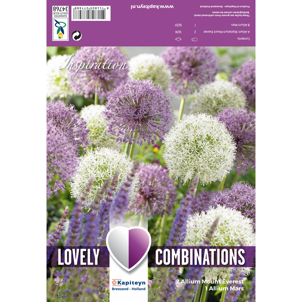 COMBI ALLIUM GIANT BULBS X3-(873578)