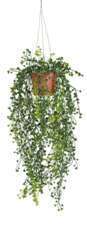 Pilea à mini feuilles artificiel en pot suspendu H 60 cm, D 27 cm
