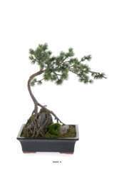 Bonsaï Pinus artificiel, sur pierre, pot finition mousse H 50 cm