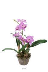 Orchidée cattleya artificielle en pot, H 60 cm
