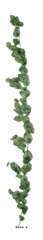 Guirlande artificielle ramifiée de feuilles de Pépéromia H 180 cm