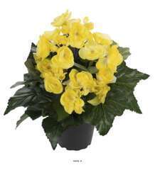 Begonia artificiel en pot H 28 cm superbe qualite Jaune citron