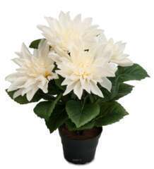 Dalhia commun artificiel en pot, 5 fleurs, H 30 cm Crème
