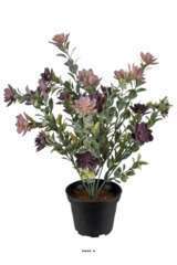 Succulente fleurie artificielle en pot, Violet H 30 cm D 25 cm